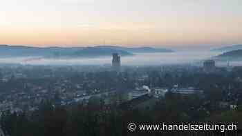 Auf Firmensafari in Winterthur