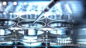 Innovative Lösungen besser schützen