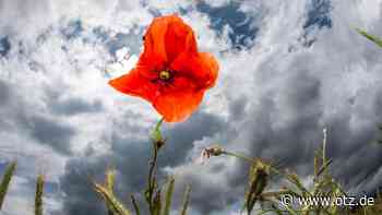 Wetter: Das Wetter in Jena: Klar und meist niederschlagsfrei