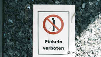 Da flogen die Fäuste: Wildbiesler löst in Eching Polizeieinsatz aus