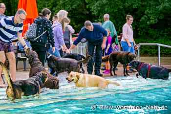 Badespaß für Vierbeiner in Bielefeld