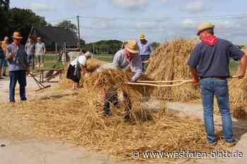 200 historische Traktoren präsentieren sich beim Dreschfest
