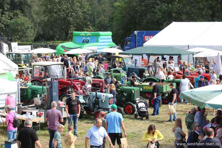 Halle: Landwirtschaft stellt sich ins „Schaufenster“