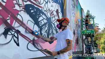 New public mural in the works for Bracebridge