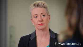 Senate may probe government's rejection of more Qatar flights