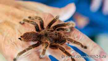 Exotische Tiere zu Besuch im Seniorenheim