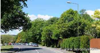 'New Torquay railway station plans have to stay on track'