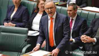 PM defends rejecting more Qatar flights, says government was not lobbied by Qantas