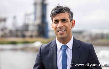 Lift off: Rishi Sunak to rebuff ban on airport expansion