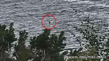 Why people are so obsessed with finding the Loch Ness Monster: Humans are hardwired to believe things that can't be explained, expert claims