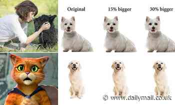 The Puss in Boots effect: Women speak in a higher pitched voice to animals with bigger EYES, study finds