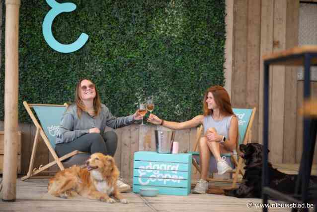 Eerste speeddate specifiek voor singles met honden zondag in Antwerpen: twee op de drie ziet kilte tussen hond en potentiële partner als breekpunt