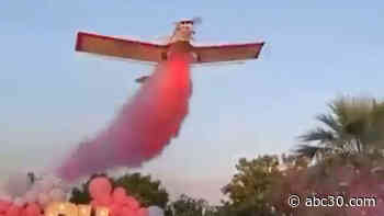 Pilot dies in plane crash while announcing baby's gender at reveal party