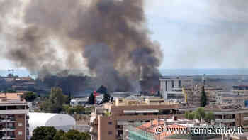 Vasto incendio a Pomezia, fiamme vicino alle case: densa colonna di fumo in cielo