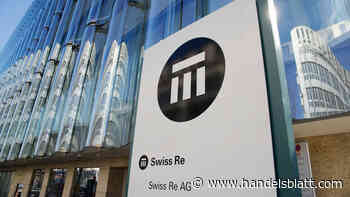 Konditionen: Umfrage: Preise der Rückversicherer schrecken Erstversicherer ab