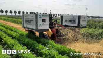 New tech boosts Dutch drive for sustainable farming