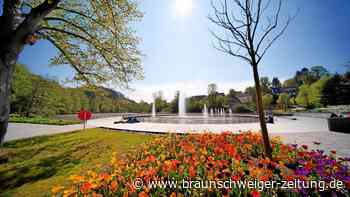 Welches Thema soll eine Landesgartenschau in Wolfenbüttel haben?