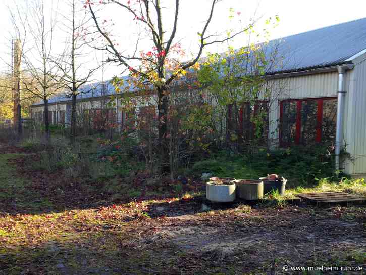 Informationsveranstaltung zu den Plänen für die ehemalige Stadtgärtnerei