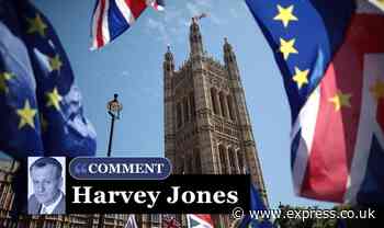 I voted Remain but I’d love to see UK make a success of Brexit (and now it could happen)