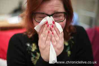 The difference between a cold and new Covid variant Pirola - the symptoms to look out for