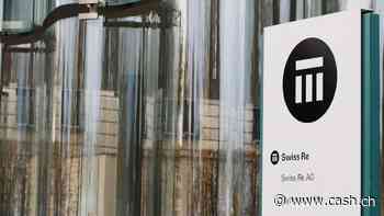 Preiserhöhungen der Rückversicherer schrecken Erstversicherer laut Umfrage ab