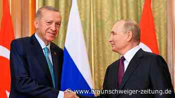 Erdogan besucht Putin – und erhält vergiftetes Angebot
