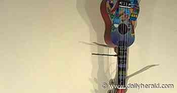 'No greater healer than music': Buffalo Grove singers putting ukuleles in hands of sick children