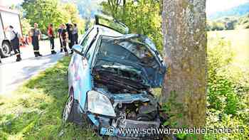 Schwerverletzter in Unterschwandorf: Auto kracht gegen einen Baum