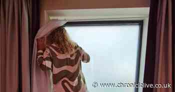 Premier Inn customers left in hysterics at view from their hotel window