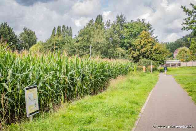 Oppositie vraagt intrekking beslissing gemeenteraad rond gecontesteerd bouwdossier: “Niet nodig, er komt voorlopig geen vergunning”