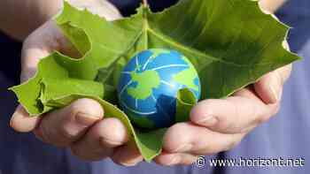 Stepstone-Studie: Bewerber legen Wert auf Nachhaltigkeit