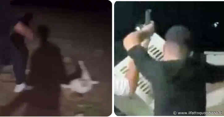 Capretta uccisa a calci: non è una bravata, io ci vedo la banalità del male