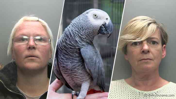 Women sentenced to time in prison after they 'sadistically tortured' pet parrot to death