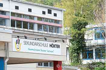 Werbeflyer oder sachliche Info? Faltblatt der SPD Höxter ruft Kritik hervor