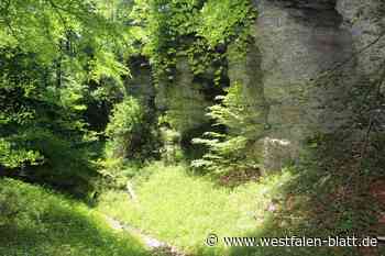 Verein für Nationalpark Egge führt weiteres Argument an