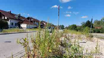 Westring Poing: Jetzt kommt das Unkraut weg