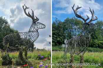 Police still looking for stolen deer sculpture in Preston