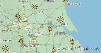 How hot it will be in Hull this week as yellow heat alert issued