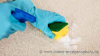 Kleiner „Unfall“ ist schnell passiert: Zwei Zutaten aus der Küche lassen Uringeruch sofort verschwinden