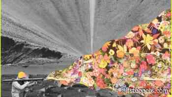 Maximalism Made Easy: Elevate Your Visual Content with Filmora's User-Friendly Effect Pack