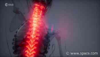 Astronauts on ISS can face muscle loss in microgravity – a new ESA experiment may help