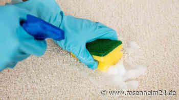 Kleiner „Unfall“ ist schnell passiert: Zwei Zutaten aus der Küche lassen Uringeruch sofort verschwinden