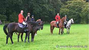Schleppjagd: Böhmer Harrier Meute zu Gast in Preetz