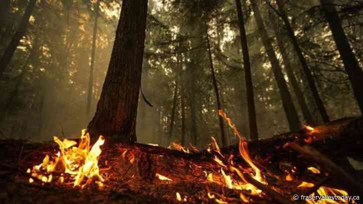 Weekend weather in central B.C. causes ‘very aggressive’ fire activity
