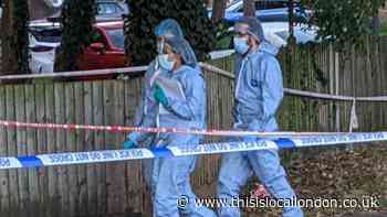 Masefield Avenue, Stanmore, stabbing: Pictures at the scene