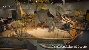 Taxidermy at South Dakota's largest zoo in question