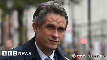 Gavin Williamson told to apologise over bullying texts