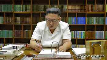 Kim Jong Un will Putin wegen Waffenlieferungen besuchen