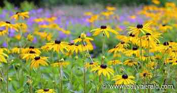 Glenview, Northbrook and North Shore events: Sept. 7-13