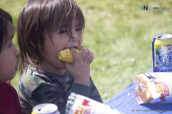 Thunder Bay: Labour Day Picnic Today: Heatwave and Hydration Hints!